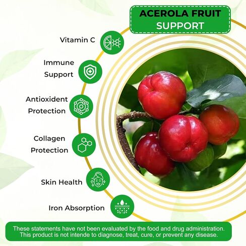 Hydrolyzed Bovine peptide-Collagen for women - Colageno - Protein - Dark roast coffee - Hair, Skin, Nail & Joint Support & with Vitamin C & B12 - without Dairy or Added Sugar - 30 serving in Saudi Arabia