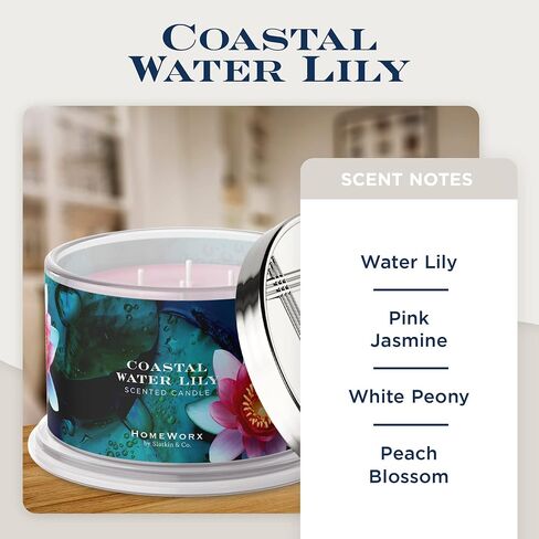 HomeWorx Birchwood Vanilla Premium Scented 4-Wick Candle - 18 oz Long-Lasting Jar Candle, Notes of Vanilla Musk, Jasmine & Cedarwood in Saudi Arabia