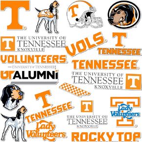 Desert Cactus University of Tennessee Sticker - UT Knoxville Volunteers Vols Vinyl - Tennessee Volunteers Decal Laptop Water Bottle Car Scrapbook (Type A)
