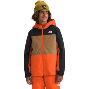 THE NORTH FACE Boys' Freedom Insulated Jacket, Summit Gold Paint Lightening Small Print, Small