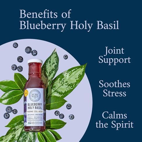 Wild Marine Collagen Drink — with 3,000mg Hydrolyzed Liquid Collagen Peptides - Supports Hair, Skin, Joints - 12oz Bottle, 12-Pack (Blueberry Holy Basil) in Saudi Arabia