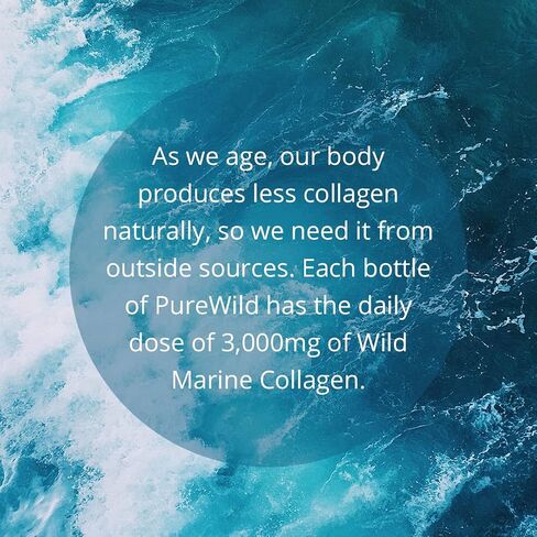 Wild Marine Collagen Drink — with 3,000mg Hydrolyzed Liquid Collagen Peptides - Supports Hair, Skin, Joints - 12oz Bottle, 12-Pack (Blueberry Holy Basil) in Saudi Arabia
