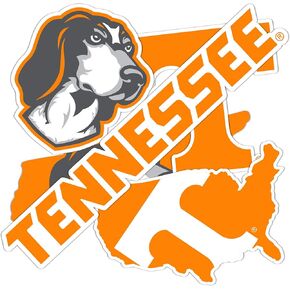 Desert Cactus University of Tennessee Stickers UT Knoxville Volunteers Vols Sticker Vinyl Decals Laptop Water Bottle Car Scrapbook 13.5x11 Sheet T2 (Type 2-3)