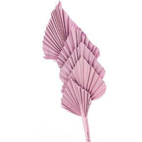 Decorative Dried Palm Spears l Dried palm leaves l natural palm fan (different tinted colors available) l Dried flowers arrangement for Home Decor (15-25in tall, 5 branches per bunch) (Pink)