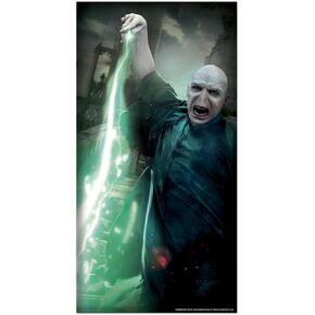 Rubie's Harry Potter Decorative Door Cover, 30" x 60", Voldemort