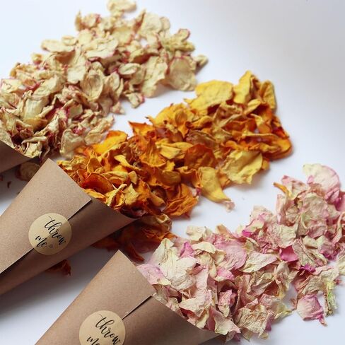 2.5 QT Dried Rose Flower Petals Biodegradable Confetti, 30 Cups Mix Real Natural White Pink Yellow Rose Petals for Wedding Proposal Party Valentine's Day Decor Flower Girls in Kuwait