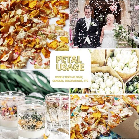 2.5 QT Dried Rose Flower Petals Biodegradable Confetti, 30 Cups Mix Real Natural White Pink Yellow Rose Petals for Wedding Proposal Party Valentine's Day Decor Flower Girls in Kuwait