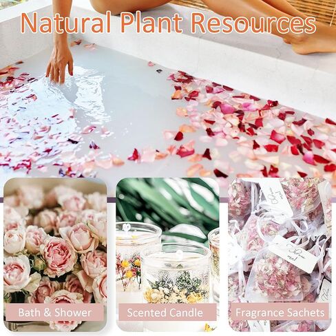 2.5 QT Dried Rose Flower Petals Biodegradable Confetti, 30 Cups Mix Real Natural White Pink Yellow Rose Petals for Wedding Proposal Party Valentine's Day Decor Flower Girls in Kuwait