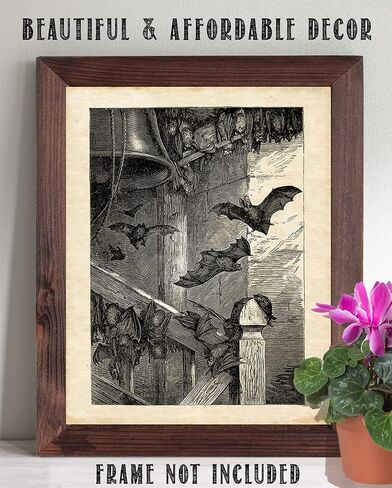 Lone Star Art Store Creepy Ancient Bat Etching - طباعة فنية غير مؤطرة مقاس 11x14 - هدية رائعة وديكور للهالوين، وعلماء الأحياء الخفافيش ومشجعي الخفافيش أقل من 15 دولارًا، أسود، أبيض، رمادي، 11 × 14 بوصة in Saudi Arabia