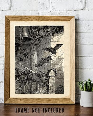 Lone Star Art Store Creepy Ancient Bat Etching - طباعة فنية غير مؤطرة مقاس 11x14 - هدية رائعة وديكور للهالوين، وعلماء الأحياء الخفافيش ومشجعي الخفافيش أقل من 15 دولارًا، أسود، أبيض، رمادي، 11 × 14 بوصة in Saudi Arabia