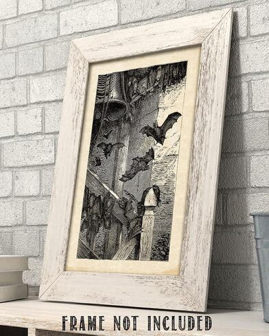 Lone Star Art Store Creepy Ancient Bat Etching - طباعة فنية غير مؤطرة مقاس 11x14 - هدية رائعة وديكور للهالوين، وعلماء الأحياء الخفافيش ومشجعي الخفافيش أقل من 15 دولارًا، أسود، أبيض، رمادي، 11 × 14 بوصة in Saudi Arabia