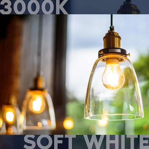 LUXRITE Vintage A19 LED Light Bulbs 60W Equivalent, 3000K Soft White Dimmable, 800 Lumens, Standard LED Edison Bulb 8W, UL Listed, E26 Base (4 Pack) in Kuwait