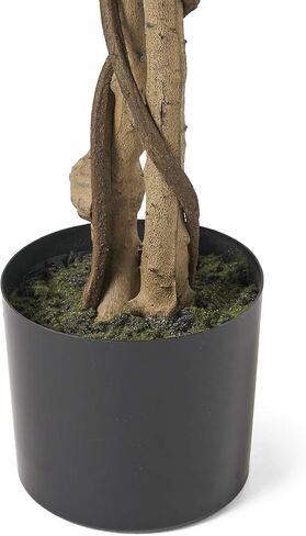 كريستوفر نايت هوم 313909 نباتات صناعية، 5 × 2.5 بوصة، أخضر in Kuwait