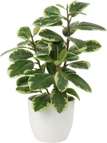 Briful Artificial Plants Mini Camellia Potted Fake Plants Small Faux Plastic Plants Desk Plant Artificial Flowers with Vase for Home Office Desk Kitchen Garden Indoor Decor in Saudi Arabia