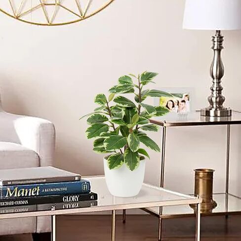 Briful Artificial Plants Mini Camellia Potted Fake Plants Small Faux Plastic Plants Desk Plant Artificial Flowers with Vase for Home Office Desk Kitchen Garden Indoor Decor in Saudi Arabia