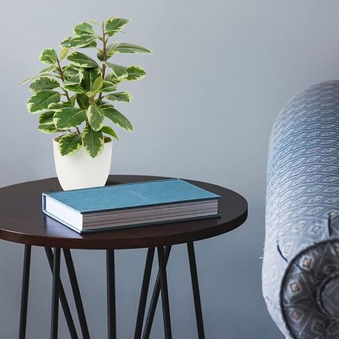 Briful Artificial Plants Mini Camellia Potted Fake Plants Small Faux Plastic Plants Desk Plant Artificial Flowers with Vase for Home Office Desk Kitchen Garden Indoor Decor in Saudi Arabia