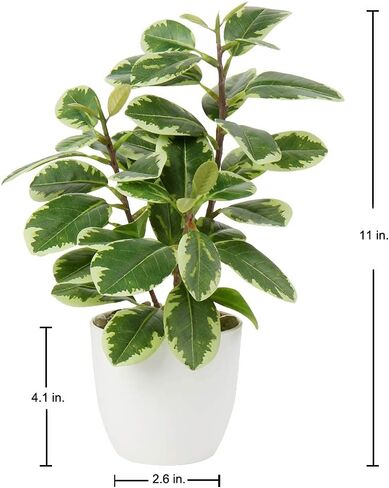 Briful Artificial Plants Mini Camellia Potted Fake Plants Small Faux Plastic Plants Desk Plant Artificial Flowers with Vase for Home Office Desk Kitchen Garden Indoor Decor in Saudi Arabia