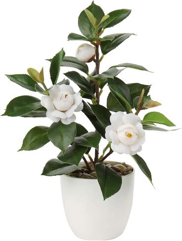 Briful Artificial Plants Mini Camellia Potted Fake Plants Small Faux Plastic Plants Desk Plant Artificial Flowers with Vase for Home Office Desk Kitchen Garden Indoor Decor in Saudi Arabia