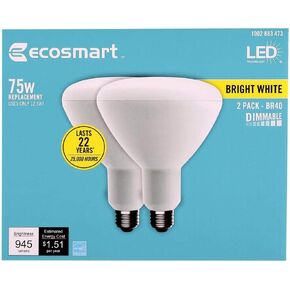 EcoSmart 75-Watt Equivalent BR40 Dimmable Energy Star LED Light Bulb Bright White (2-Pack) New Model