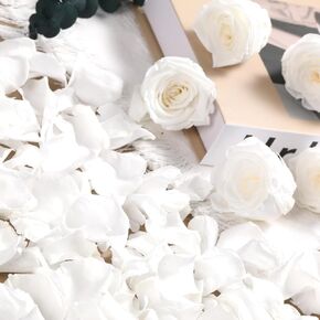 Dried Real Rose Petals, Natural Preserved Dry Flower Petals for Wedding Party Dinner Table Decor, Romantic Night for Her Set, Engagement, Bridal Shower, Valentine's Day, Confetti (1.4oz, White)