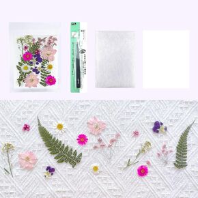 11pcs Dried Flowers, Vacuum Packed Real Pressed Flowers Dry Maple Leaves with Tweezers Silk Film Double Sided Sticker for Table Lamp DIY， Candle Making(Autumn Maple Leaves)