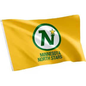 Desert Cactus Minnesota North Stars Flag NHL 100% Polyester Indoor Outdoor 3x5 feet National Hockey League Team Flags (Vintage Flag #2)