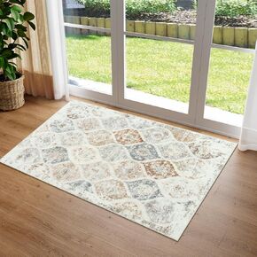 LIVEBOX 2x3 Small Entry Way Rug Non Slip, Washable Moroccan Indoor Door Mats for Entryway, Farmhouse Distressed Accent Area Rug Throw Rug for Entrance Bedroom Kitchen