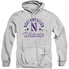 LOGOVISION Official Collegiate Distressed Mascot Adult Pullover Hoodie Collection