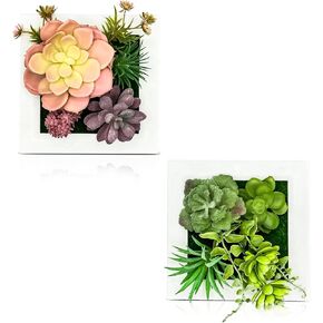 Succulent Wall Decor - Set of 2 Hanging Wall Frames with Lifelike Succulents - Beautifully Framed Artificial Plant - Decor for Instant Wall Charm and Stylish