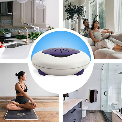 Aromashell Electric Plug-in Aromatherapy Diffuser/Warmer for Essential Oils and Fragrance for Bedroom, Bathroom, Kitchen, Home, Office, Travel, Gift (Blue) (Pack of 1) in Kuwait
