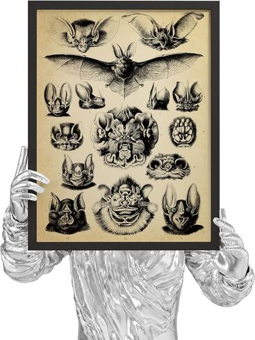 EXCOOL CLUB Gothic Bat Wall Art Decor - 12x16 Vintage Bat Poster Halloween Pictures, Whimsical Gothic Home Decor, Spooky Goth Print, Black Vampire Bats Anatomy Art for Dorm Bedroom (Unframed) in Saudi Arabia
