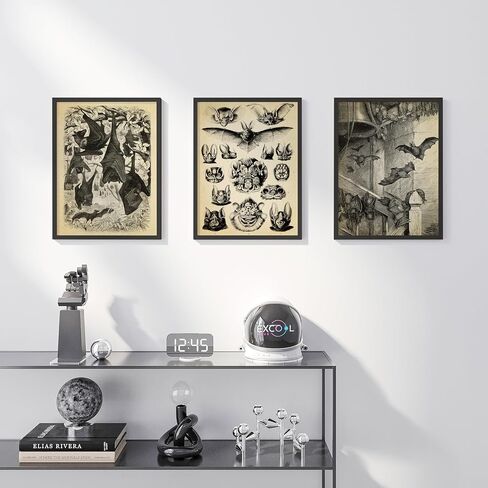 EXCOOL CLUB Gothic Bat Wall Art Decor - 12x16 Vintage Bat Poster Halloween Pictures, Whimsical Gothic Home Decor, Spooky Goth Print, Black Vampire Bats Anatomy Art for Dorm Bedroom (Unframed) in Saudi Arabia