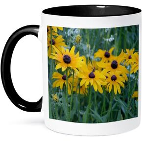 كوب 3dRose Eyed Susans in the Garden ذو لونين أسود، 11 أونصة، متعدد الألوان