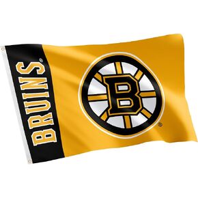 Desert Cactus Boston Bruins Flag NHL 100% Polyester Indoor Outdoor 3x5 feet National Hockey League Team Flags (Name Flag)