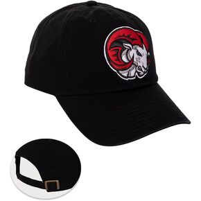 Desert Cactus Winston-Salem State University Baseball Hat Rams WSSU Brimmed Embroirderd Cap Adjustable Cloth Strap Adult (Style A) Black