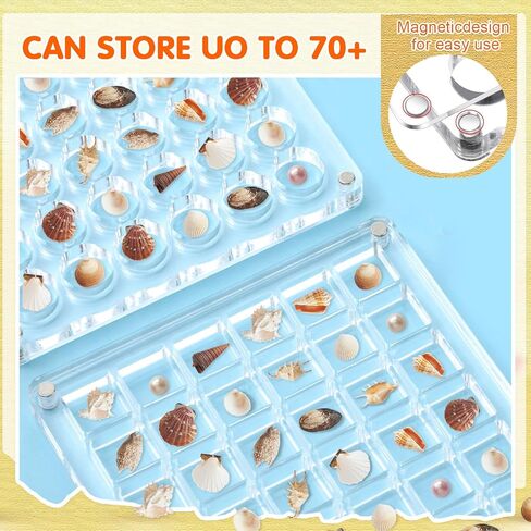 4 Pcs Acrylic Magnetic Seashell Display Box Clear Acrylic Seashell Storage Box Jewelry Beads Display Organizer Case Round and Square Container with 2 Tweezers for Shellfish, 36 Grids in Saudi Arabia