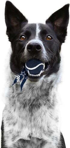 Littlearth NFL Pet Ball Launcher in Saudi Arabia