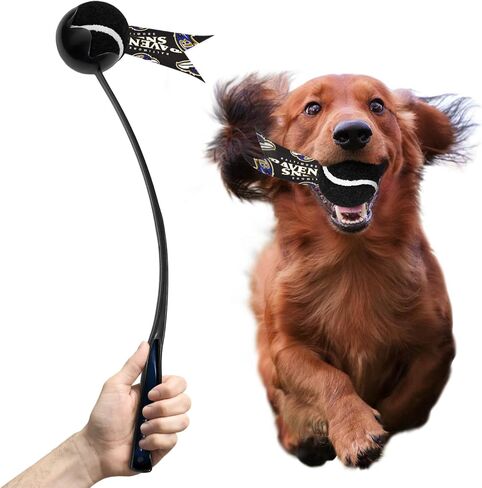 Littlearth NFL Pet Ball Launcher in Saudi Arabia