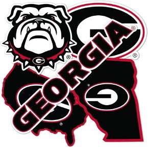Desert Cactus University of Georgia Sticker Bulldogs UGA Dawgs Stickers Vinyl Decals Laptop Water Bottle Car Scrapbook T2 (Type 2-2)