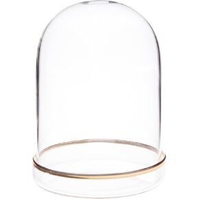 Plymor 3" x 4" Glass Display Dome Cloche (Gold Rim Glass Tray Base)