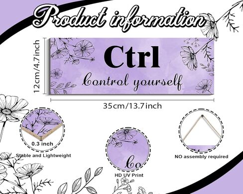 Ctrl Alt Del ديكور جدار مكتب ملهم للمرأة، أرجواني مكتب جدار الفن الخشبي معلق مع اقتباسات إيجابية للفتيات النساء ديكور جدار المنزل (أرجواني) in Saudi Arabia
