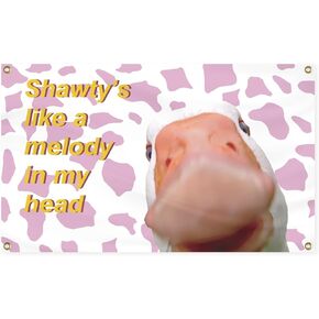 Shawty's Llike a Melody In My Head Duck Flags, 3x5 Ft Pink Funny Flags for Room Guys, Man Cave Flags with Brass Grommets for College Dorm, Wall Hanging Funny Duck Tapestries for Bedroom Home Decorations (Duck3)