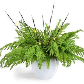 YoleShy 10 Pcs Christmas Artificial Norfolk Pine Branches with 2 Pcs Branches Greenery Norfolk Pine Stems for Christmas Decoration Indoor Xmas DIY Crafts Outdoor Home Decor