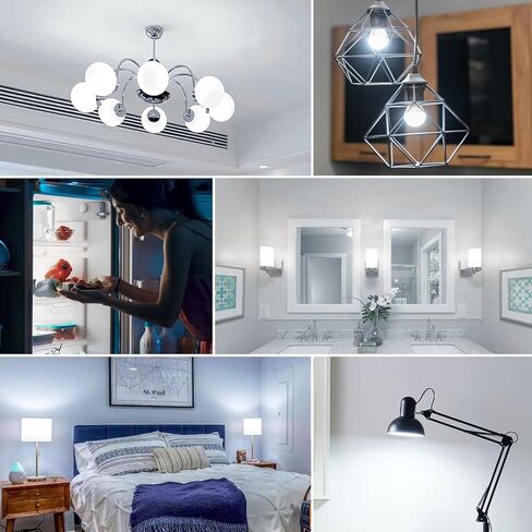 BAOMING LED Refrigerator Light Bulb 50 Watt Equivalent,G45 5W 120V 500LM Fridge Appliance Light Bulb Daylight White 5000K, Waterproof Fridge Light Bulbs, E26 Freezer Light Bulbs Non-dimmable, 3Packs in Saudi Arabia