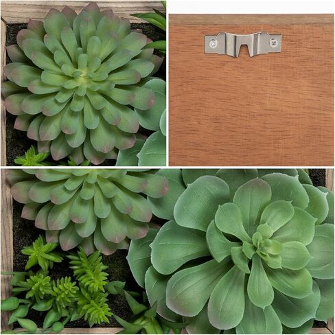 Fake Plants Succulents 3D Artificial Wall Hanging Plants Indoor Faux Succulent Arrangement in Wooden Planter for Home Farmhouse Kitchen Console Table Wall Decoration in Kuwait