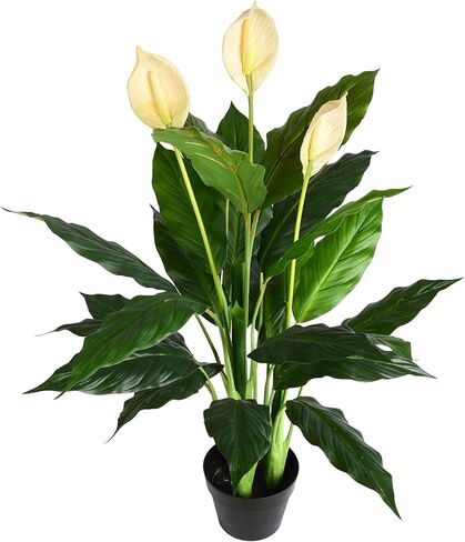 Vickerman Everyday Artificial Green Peace Lily Real Touch Plant 37 Inch - Lifelike Home Office Decor - Faux Indoor Potted Plant - Maintenance Free - Faux Plant in Saudi Arabia