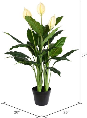 Vickerman Everyday Artificial Green Peace Lily Real Touch Plant 37 Inch - Lifelike Home Office Decor - Faux Indoor Potted Plant - Maintenance Free - Faux Plant in Saudi Arabia