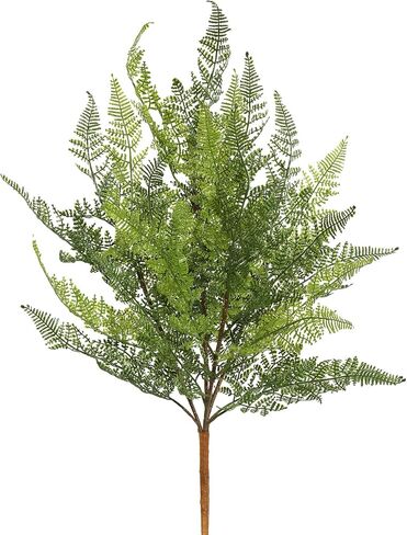 Vickerman Everyday 21.5" Artificial Green Lace Fern Bush - Faux Indoor Plant Bush - Greenery for Home Or Office Decor - Maintenance Free in Saudi Arabia