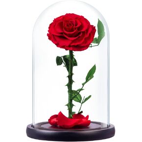 Gifts for Mom,Forever Flowers in Glass Dome,Women Roses Romantic Glass Flowers,Preserved Flowers Mothers Day,Love Daughter,Grandma,Congratulations Best Friend Birthday Christmas Anniversary Gifts
