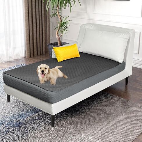 NeColorLife Waterproof Chaise Lounge Cushion Cover Oversized Sofa Cover Couch Covers Thick Couch Cushion Cover with Elastic Band Furniture Protector for Pets, Dog (1PC,XX-Large Size, Dark Grey) in Saudi Arabia